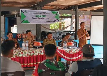 Komitmen Tasming Hamid-Hermanto Wujudkan Program Parepare Bebas Banjir
