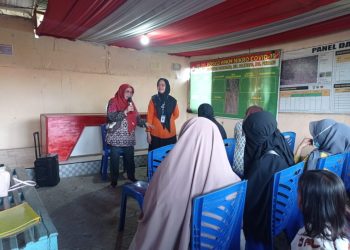Gerakan Aktifkan Posyandu di Pinrang, Pastikan Ibu dan Anak Dapat Layanan Kesehatan yang Dibutuhkan