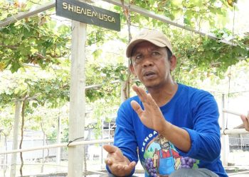 Petani Anggur Bersyukur Kementerian ATR/BPN Hadir Bawa Reforma Agraria Masuk ke Desa