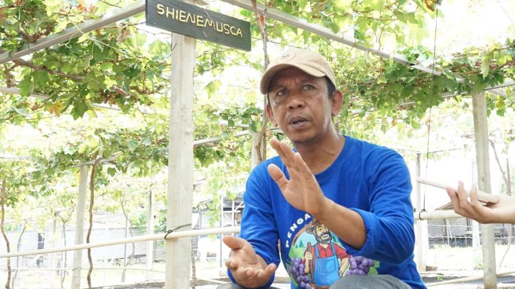 Petani Anggur Bersyukur Kementerian ATR/BPN Hadir Bawa Reforma Agraria Masuk ke Desa