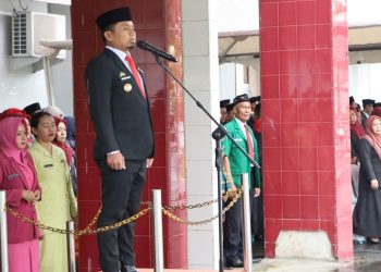 Wali Kota Parepare Pimpin Upacara Hari Pahlwan Nasional