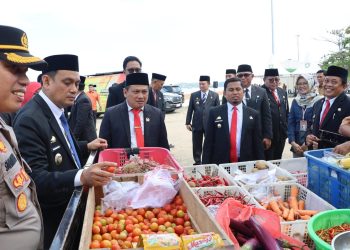 Gerakan Pangan Murah Upaya Strategis Kendalikan Inflasi Daerah
