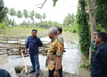 Pemkab Pinrang Bergerak Cepat Tangani Jembatan Rusak di Lembang