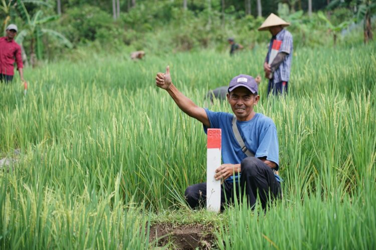 Pastikan Batas Tanah saat Mudik sebagai Langkah Awal Cegah Konflik Antartetangga