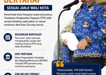 TPP ASN Dicairkan Bertahap, Begini Skema Pembayaran