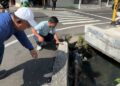 Wali Kota Parepare Tinjau Langsung Pembersihan Drainase
