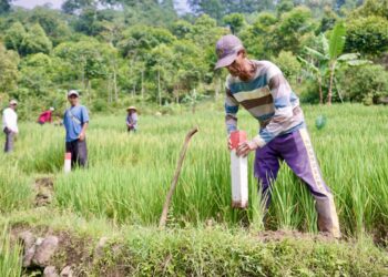 Pasang Patok, Cara Sederhana Cegah Sengketa Tanah dengan Tetangga